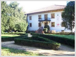 Euskal Herria museoa, Alegria jauregia