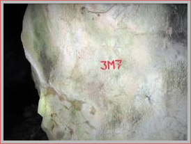 Cabeza de caballo pintada sobre una pared hallada en la cueva de Askondo