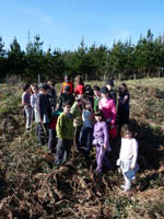 Escolares de Primaria de Aramaio plantando árboles (Ampliar en una nueva ventana)