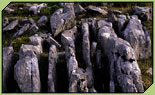 Muestra la imagen pop-geologiakarsticos-foto3.jpg ampliada