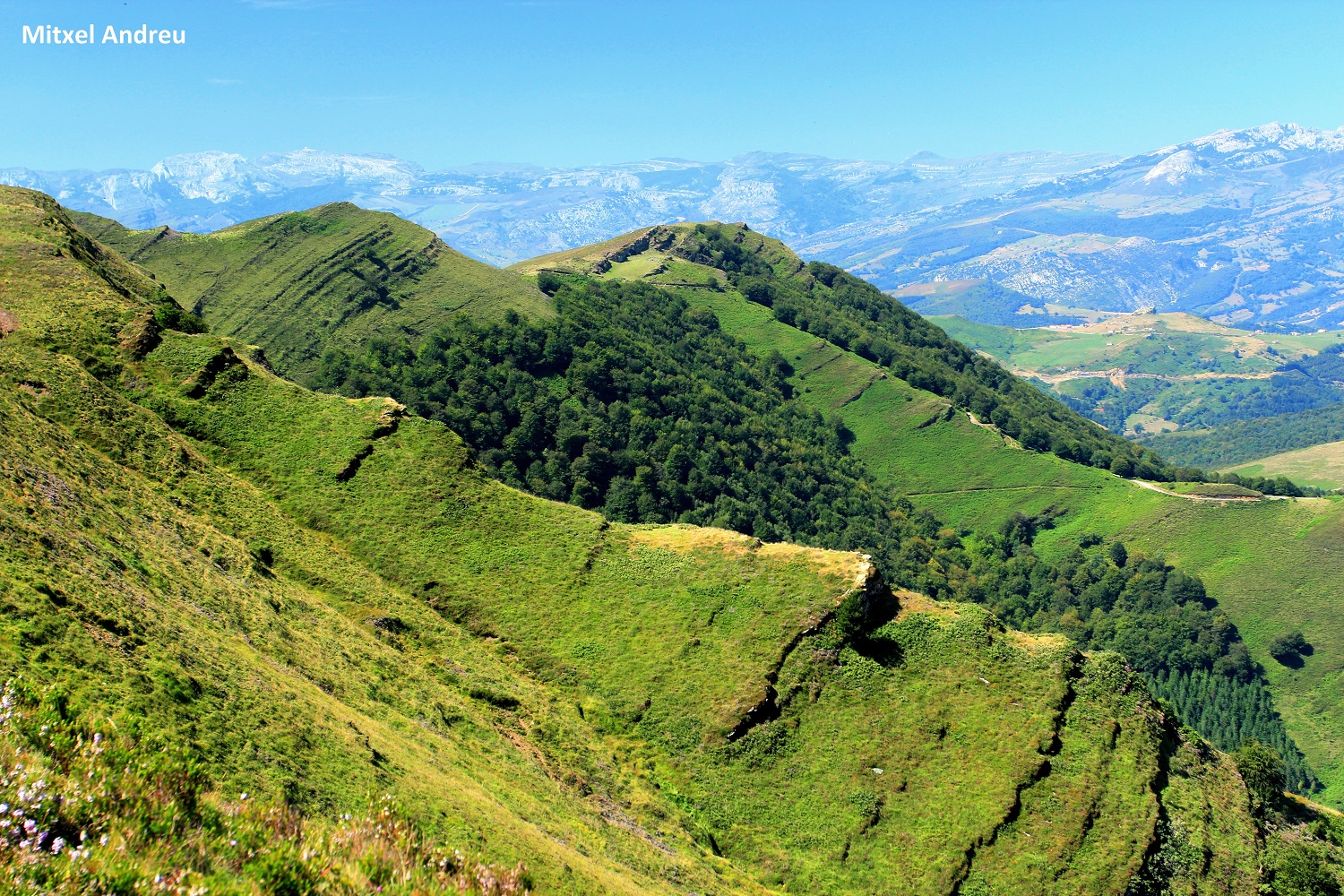 Senda de la Aragañeda