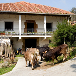 Caserío típico de Karrantza