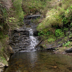 Regato de Tres Campos en Sierra Mesada (Lanzas Agudas)