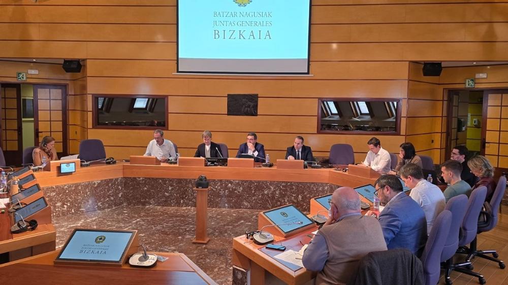 Batzar Nagusia Aurrekontuak