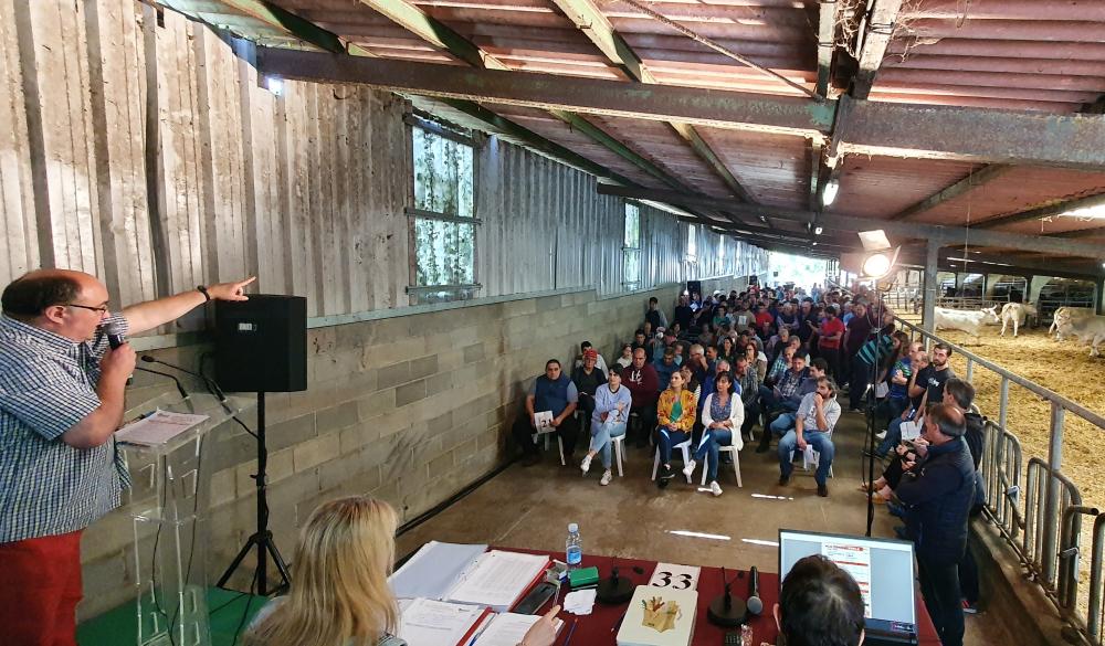 Imagen de la subasta