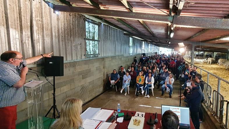 Imagen de la subasta