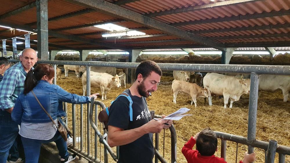 Subasta en la Granja Foral de Gorliz