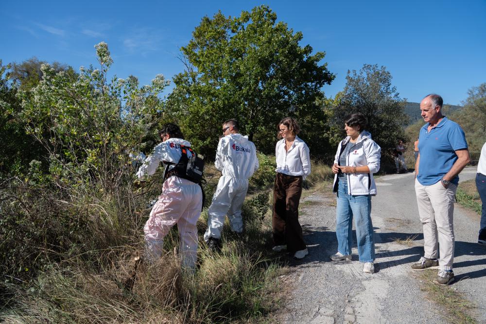 La Diputación Foral de Bizkaia pone en marcha una actuación integral para combatir la presencia de especies vegetales invasoras de Urdaibai