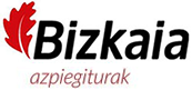 Bizkaia Azpiegiturak