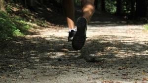 trailrunninggenerica.jpg